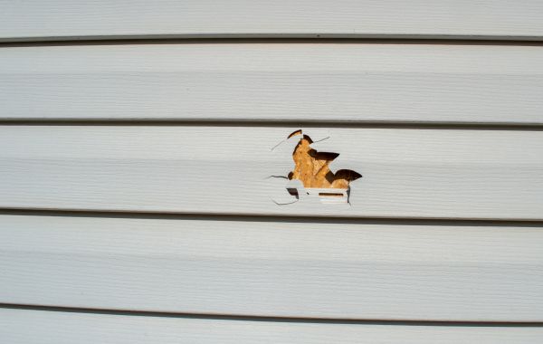 Siding Hole Repair in North Richland Hills