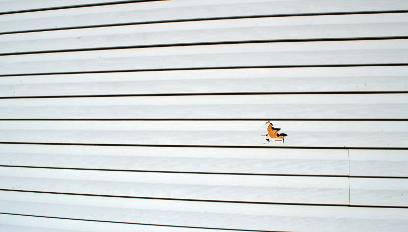 Inspection of Siding Damage